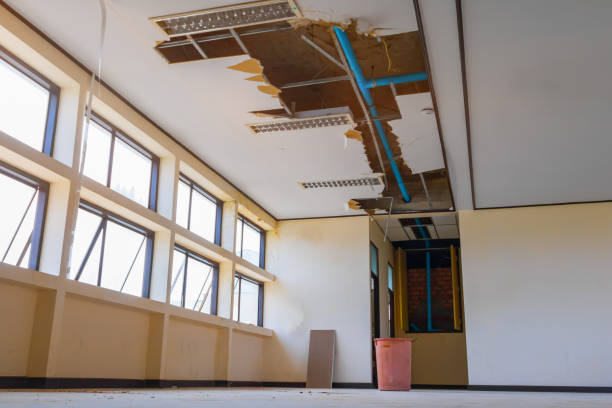 Best Water damage restoration near me  in Wrightsville, PA