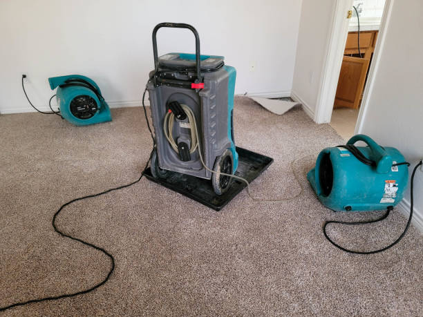 Best Residential water damage restoration  in Wrightsville, PA