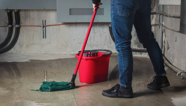 Best Fire Damage Restoration  in Wrightsville, PA