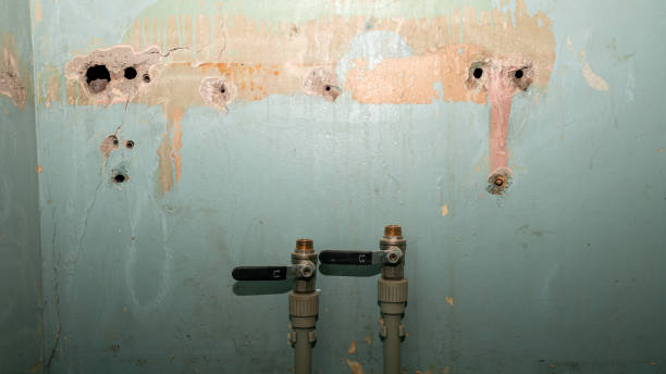 Best Basement water damage restoration  in Wrightsville, PA