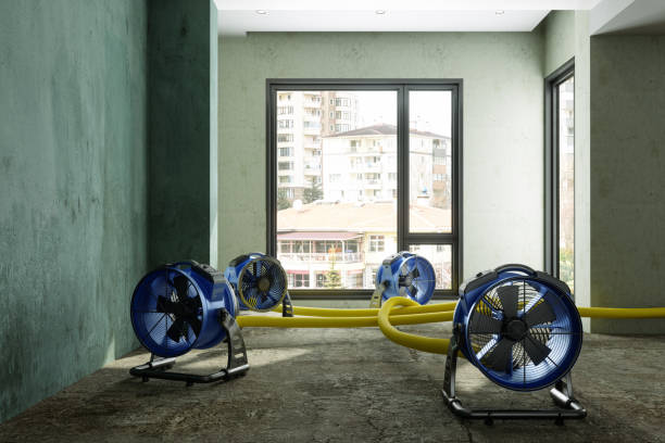 Best Ceiling water damage repair  in Wrightsville, PA