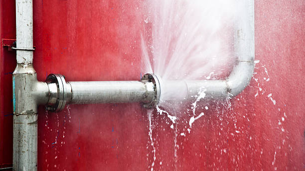 Best Water damage cleanup near me  in Wrightsville, PA